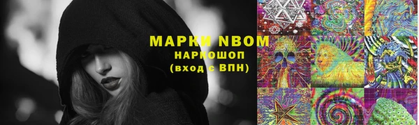 гидра Приозерск